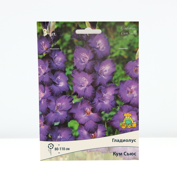 Гладиолус крупноцветковый «Кум Сьюс», луковица цветов в пакете с перфорацией, р-р 10/12, 3 шт.