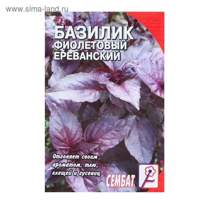 Семена Базилик фиолетовый Ереванский, 0,2 г Семена Базилик фиолетовый Ереванский, 0,2 г