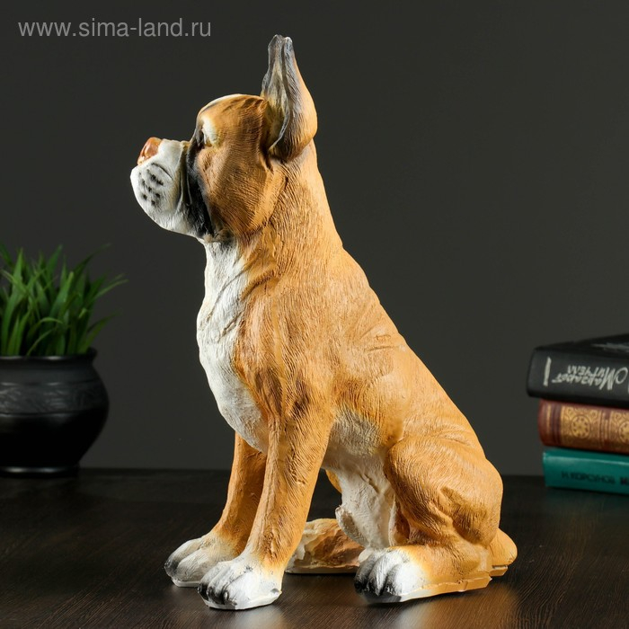 Копилка Копилка "Боксер", 36х24см