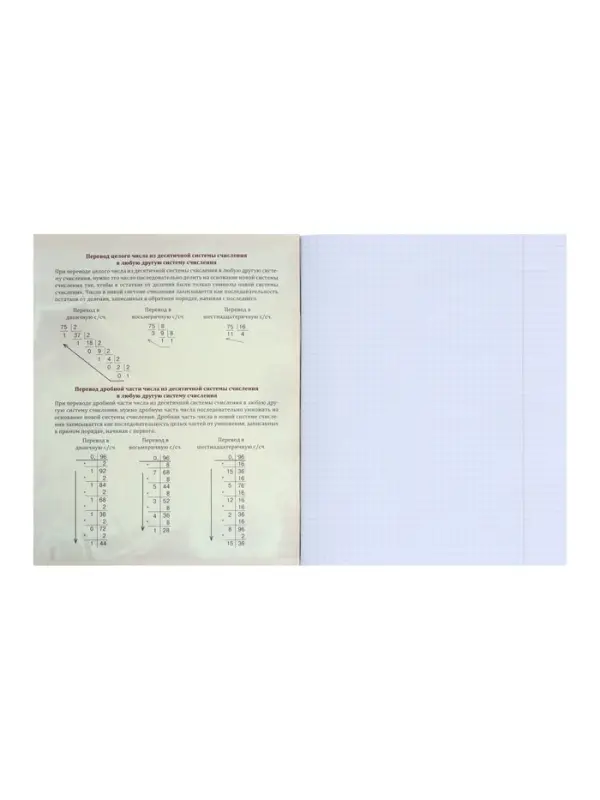 Предметная тетрадь по информатике Calligrata &laquo;Мрамор светлый&raquo;, 48 листов, в клетку, со справочным материалом, обложка из мелованного картона