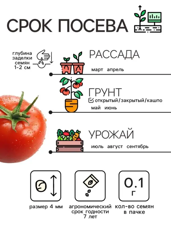 Семена Томат "Волгоградский скороспелый 323", 0,1 г