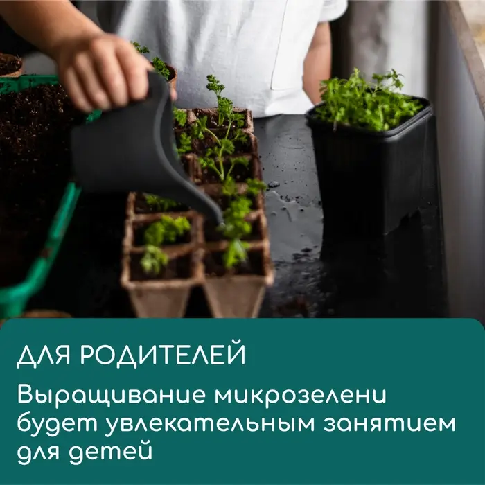 Коврик джутовый для выращивания микрозелени, 10&times;15 см, толщина 1 см, набор 5 шт.