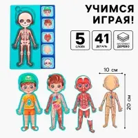 Обучающий набор Лесная мастерская &laquo;Тело человека&raquo;, рамка-вкладка и книга с наклейками