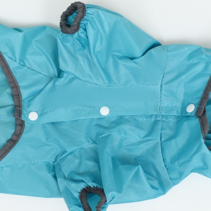 Комбинезон для собак, демисезонный с козырьком, размер 2ХL (ДС 45, Ог 62, ОШ 47 см), голубой   93812