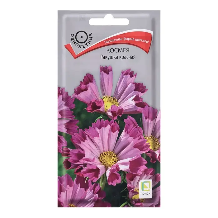 Семена цветов Космея  Семена цветов Космея "Ракушка", красная, 0,1гр.