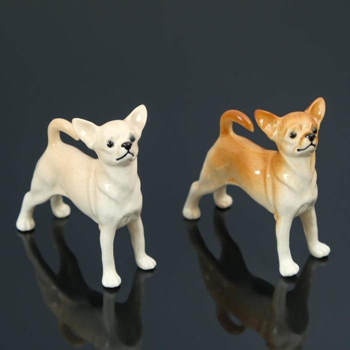 Сувенир Сувенир "Чихуахуа", ручная работа, фарфор