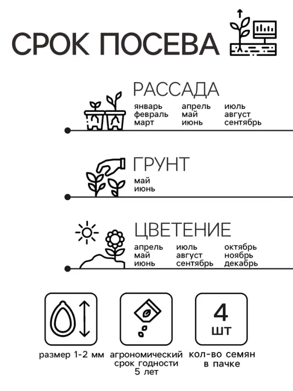 Семена цветов Пеларгония "Дансер Дип Роуз", зональная, Сем. Алт, ц/п, 3 шт