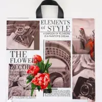 Пакет &laquo;Визуал&raquo;, полиэтиленовый с петлевой ручкой, 42&times;45 см, 45 мкм