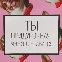 Пакет подарочный, упаковка, &laquo;Киса&raquo;, 22&times;22&times;11 см