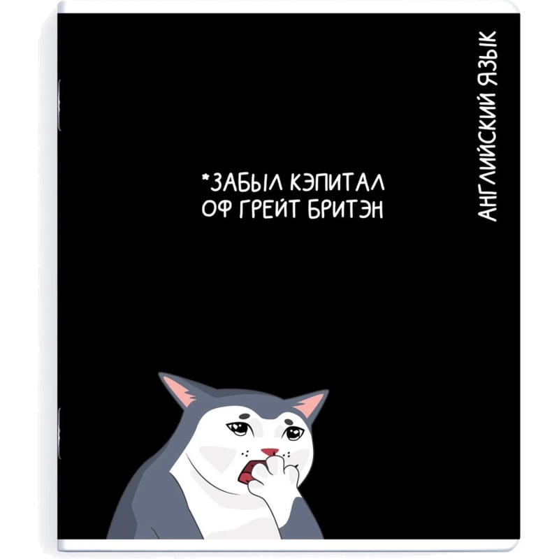 Тетрадь предметнaя АНГЛИЙСКИЙ ЯЗЫК'КОТЫ МЕМЫ'48л,А5+,кл,справ.инф/69828
