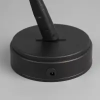 Светодиодный куст &laquo;Цветы&raquo; 45 см, 24 LED, постоянное свечение, от батареек AAx3, USB, свечение тёплое белое