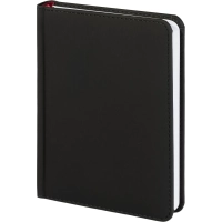 Ежедневник недатированный А6+ 112 х 155 мм Velvet черный 272 стр. 3-495/04