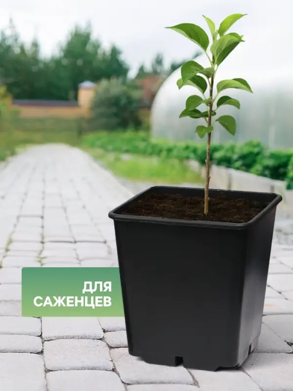 Горшок для рассады, 11 л, 25&times;25&times;26 см, чёрный