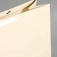 Пакет ламинированный горизонтальный "Молочный", XXL 61 х 46 х 20 см Пакет ламинированный горизонтальный "Молочный", XXL 61 х 46 х 20 см