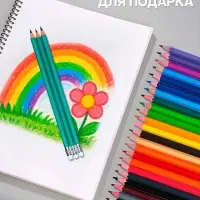 Карандаши Calligrata, цветные, 24 цвета, эконом, шестигранные, пластиковые, пенал-футляр и 3 чернографитных карандаша с ластиком в ПОДАРОК, МИКС