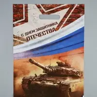 Пакет подарочный &laquo;С Днём Защитника Отечества&raquo;, полиэтиленовый с вырубной ручкой, 30&times;40 см, 50 мкм