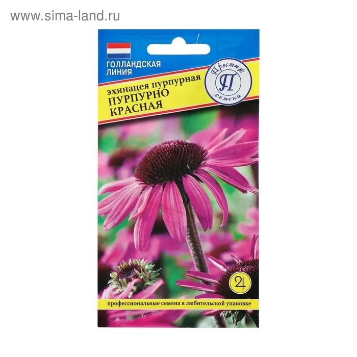 Семена цветов Эхинацея Семена цветов Эхинацея "Пурпурно красная", 20 шт.