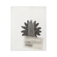 Ручка-кнопка мебельная CAPPIO PRO &laquo;Ромашка&raquo; 52&times;52 мм, черный