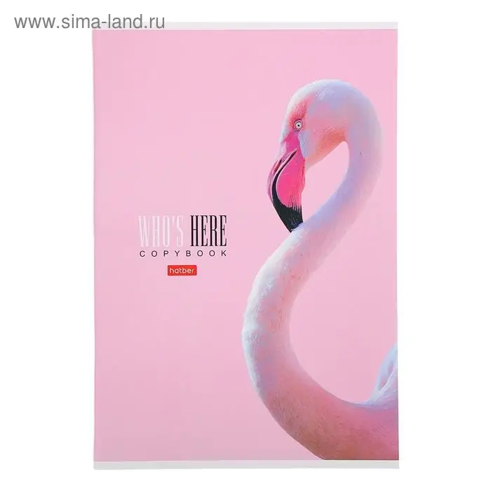 Тетрадь А4, 96 листов в клетку "Кто здесь?", обложка мелованный картон, матовая ламинация, блок офсет, МИКС