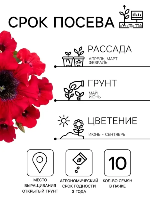 Семена цветов Петуния превосходнейшая &laquo;Бордовая&raquo; 10 шт.