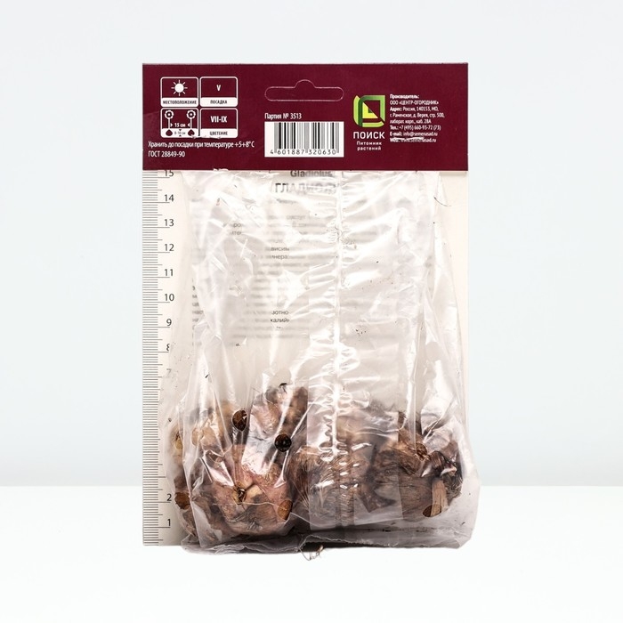 Гладиолус крупноцветковый «Астарта», луковица цветов в пакете с перфорацией, р-р 10/12, 10 шт.