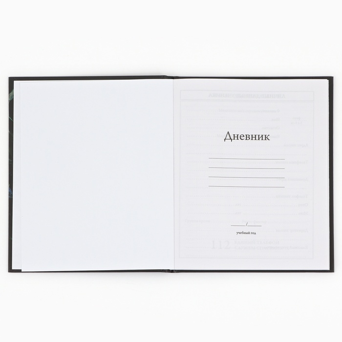 Дневник школьный 1-4 класса, в твердой обложке, 48 л &laquo;Бабочки&raquo;