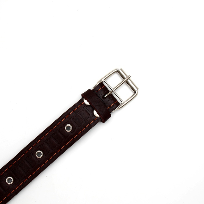 Ошейник кожаный тисненый на фетре, безразмерный, 64 х 3,5 см, ОШ 31-60 см, коричневый Ошейник кожаный тисненый на фетре, безразмерный, 64 х 3,5 см, ОШ 31-60 см, коричневый