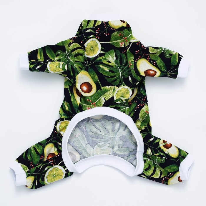 Комбинезон для животных «Авокадо», XS (ДС 27, ОШ 23-27, ОГ 41-45) Комбинезон для животных «Авокадо», XS (ДС 27, ОШ 23-27, ОГ 41-45)
