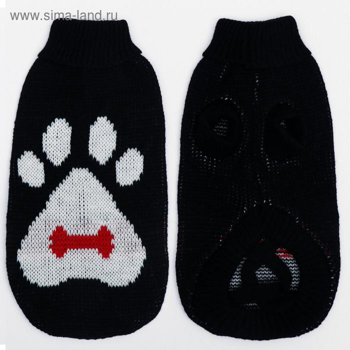 Свитер, размер 10 (ДС 30-45, ОШ 16-31, ОГ 30-45 см), микс расцветок Свитер, размер 10 (ДС 30-45, ОШ 16-31, ОГ 30-45 см), микс расцветок