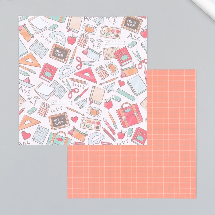 Набор бумаги для скрапбукинга 12 листов 12 дизайнов Набор бумаги для скрапбукинга 12 листов 12 дизайнов "Школьные будни" 160 гр 15,2х15,2 см