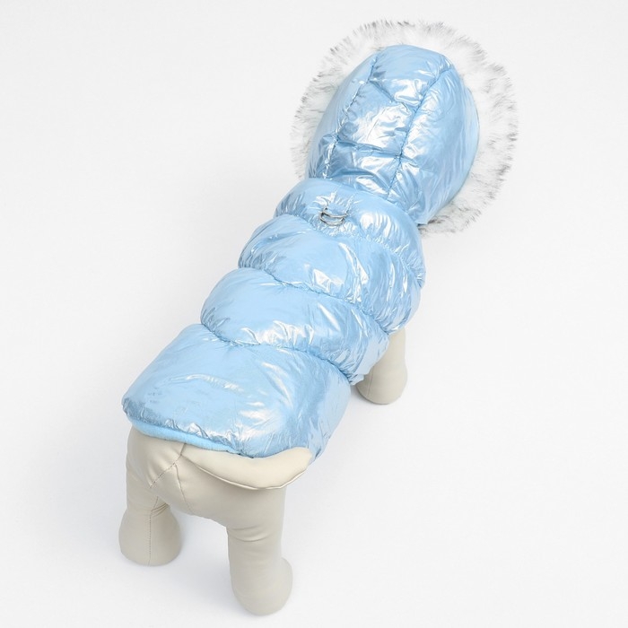 Куртка для собак  Куртка для собак "Легкость",  размер L (ДС 34, ОГ 47, ОШ 34 см, до 11 кг), голубая