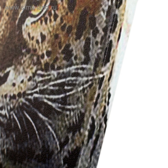 Картина модульная на подрамнике  Картина модульная на подрамнике "Гепард на отдыхе" (2-25х50, 30х60 см) 80х60 см