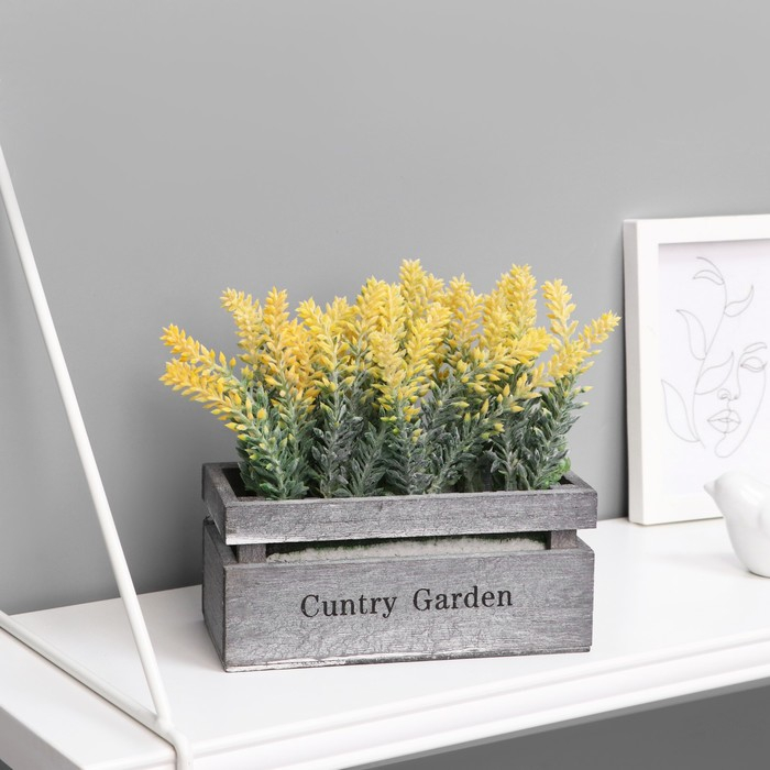 Бонсай "Лаванда в ящичке" 8х16,5х15 см, микс