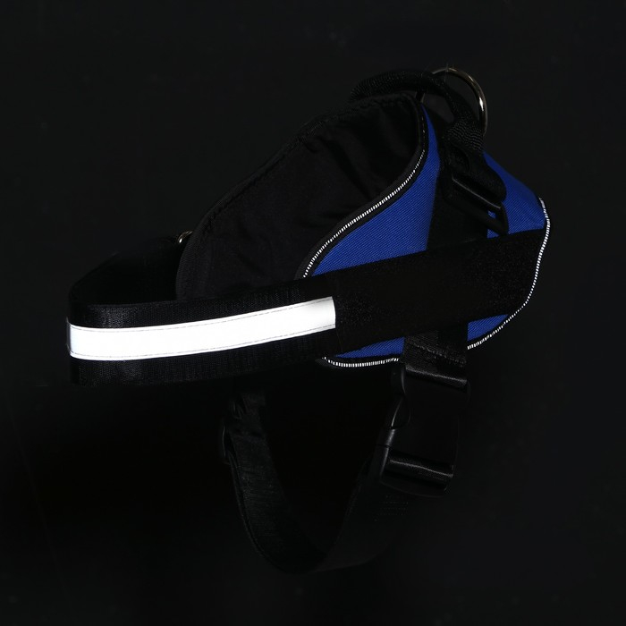 Шлейка К9 мягкая светоотражающая, размер ХL, ОГ 80-95 см, вес 30-45 кг, синяя Шлейка К9 мягкая светоотражающая, размер ХL, ОГ 80-95 см, вес 30-45 кг, синяя