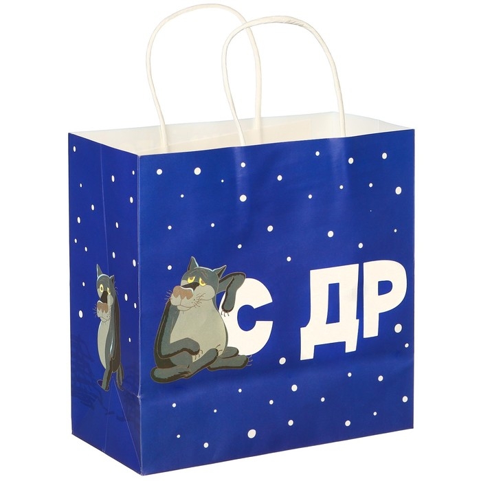 Пакет подарочный Пакет подарочный "С Др тебя если чо" 22х22х11 см, крафт, упаковка, Жил-был Пес