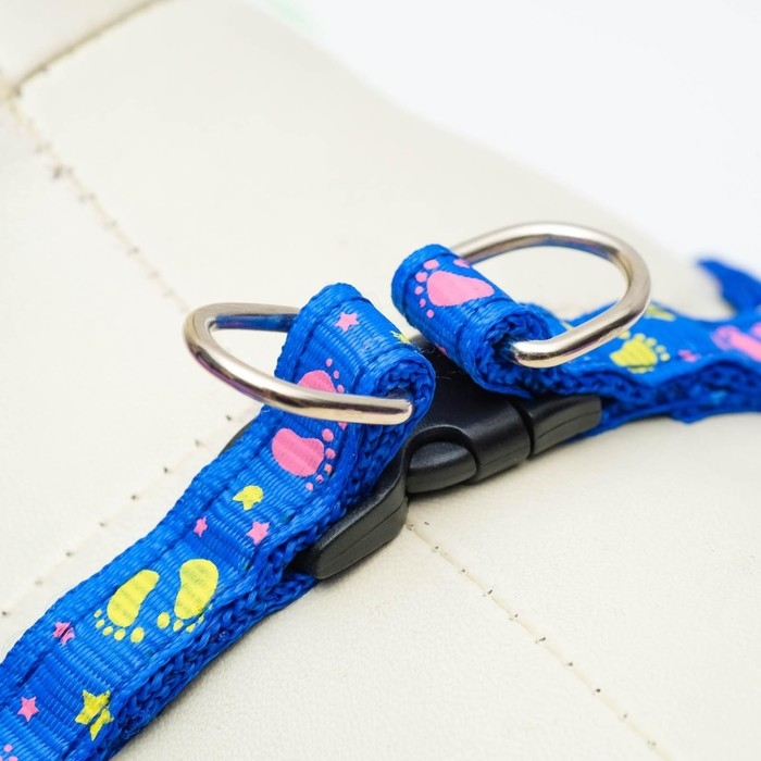 Комплект  Комплект "Цветные следы", ширина 1 см, поводок 120 см, шлейка 23-35 см, синий