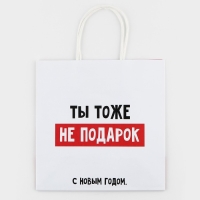 Пакет подарочный новогодний «Ты тоже не подарок», 22 х 22 х 11 см