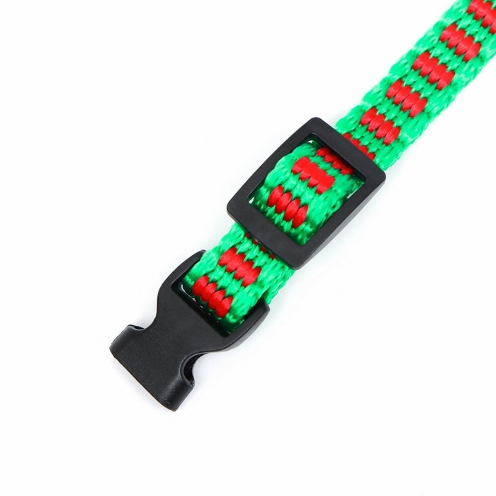 Ошейник Ошейник "Зима", 30 х 1 см, капрон, зелёный