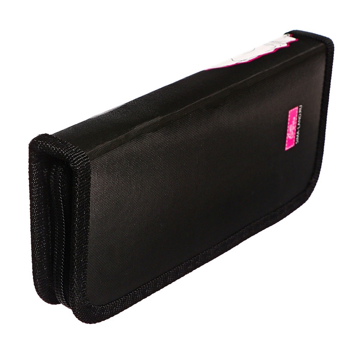 Пенал 1 секция, 90 х 195 х 25 мм, Calligrata Пенал 1 секция, 90 х 195 х 25 мм, Calligrata "Аниме мотивация", ламинированный картон