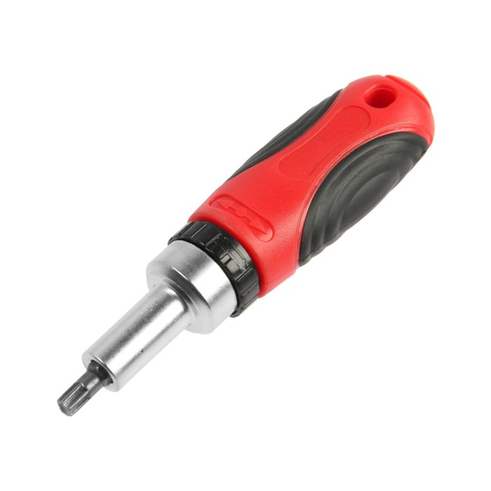 Отвертка с набором бит и головок ТУНДРА, реверсивная, 2К рукоятка, в кейсе, 26 предметов Отвертка с набором бит и головок ТУНДРА, реверсивная, 2К рукоятка, в кейсе, 26 предметов