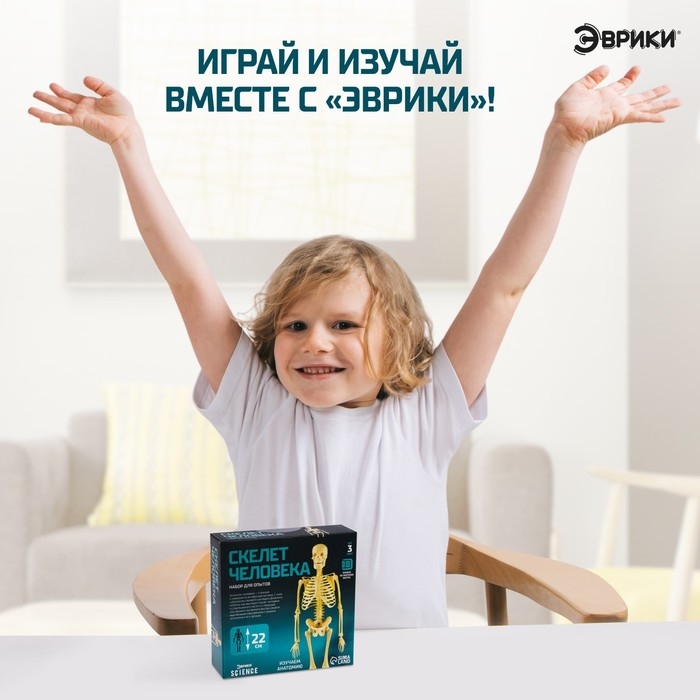Набор для опытов «Скелет человека» Набор для опытов «Скелет человека»