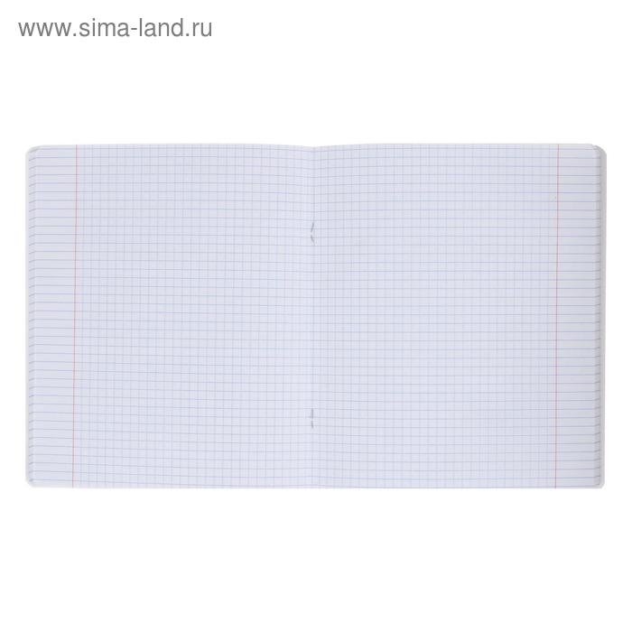 Тетрадь 48 листов в клетку ErichKrause "Пять океанов", обложка мелованный картон, блок офсет, белизна 100%, МИКС