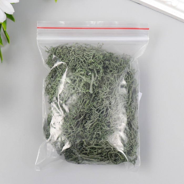 Мох искусственный Мох искусственный "Хаки" 10 гр