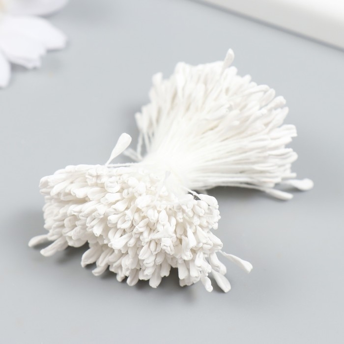 Тычинки для цветов Тычинки для цветов "Белый" набор 360 шт длина 6 см