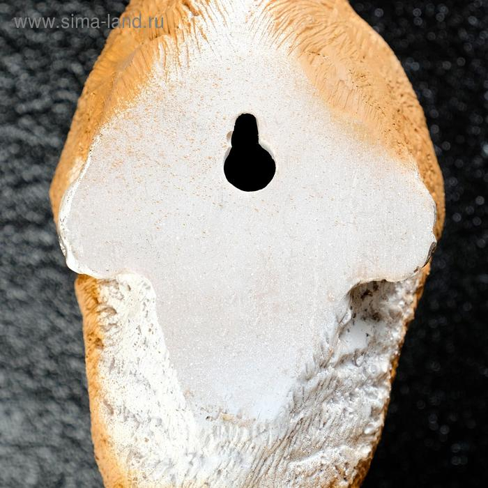 Подвесной декор - кормушка Подвесной декор - кормушка "Белочка" 11х11х35см