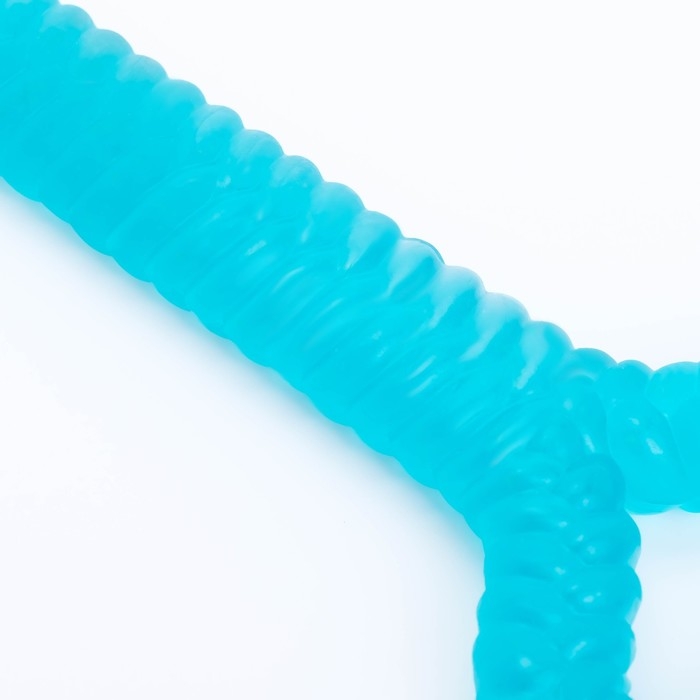 Игрушка для собак Игрушка для собак "Большая кость", светящаяся в темноте, массажная,32 х 11, синяя