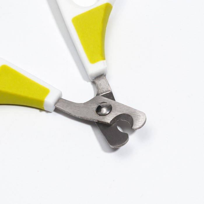 Ножницы-когтерезы изогнутые, отверстие 7 мм, белые с зелёным Ножницы-когтерезы изогнутые, отверстие 7 мм, белые с зелёным