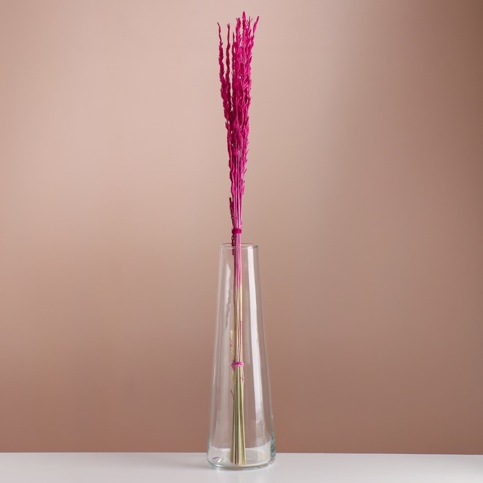 Набор сухоцветов Набор сухоцветов "Райграс", банч 21 шт, длина 60 (+/- 6 см), фуксия