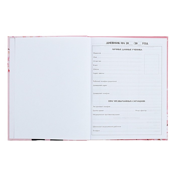 Дневник универсальный для 1-11 классов Дневник универсальный для 1-11 классов "Аниме. Нежная девочка", твёрдая обложка, глянцевая ламинация, 40 листов