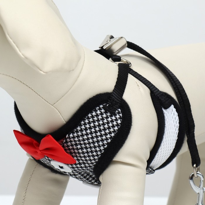 Комплект с мягкой шлейкой и бантиком , размер S, поводок 120 x 1,5 см, ОГ 23-42 см, серый Комплект с мягкой шлейкой и бантиком , размер S, поводок 120 x 1,5 см, ОГ 23-42 см, серый